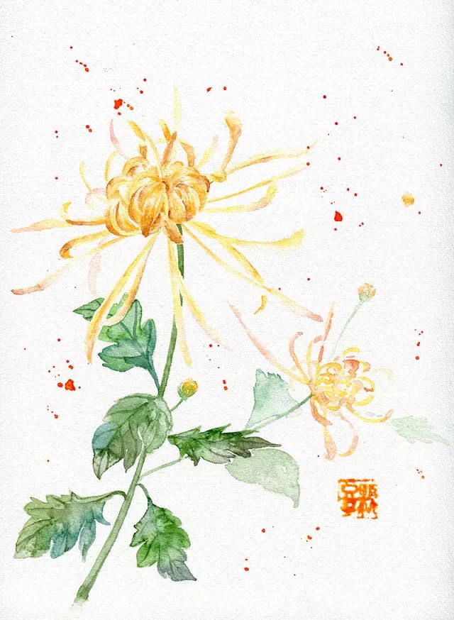 20180129124156_76637.jpeg 20180129124156_76637.jpeg