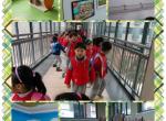 走进小学（二）——参观校舍